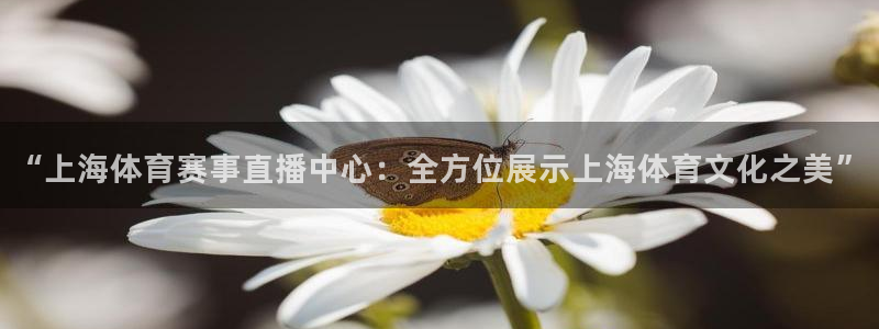 小松鼠直播app：“上海体育赛事直播中心：全方位展示上海体育文化之美”