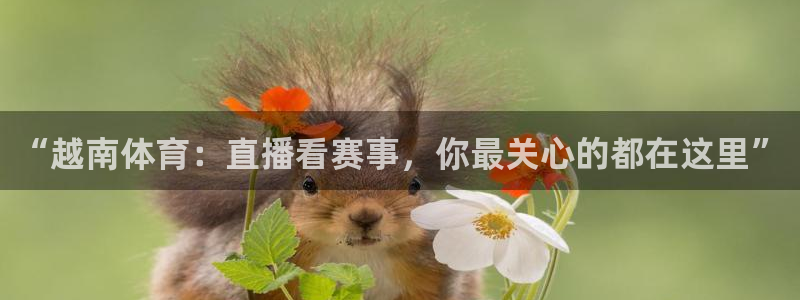 小松鼠直播app：“越南体育：直播看赛事，你最关心的都在这里”