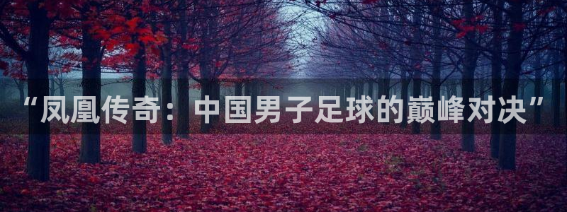 松鼠直播tv：“凤凰传奇：中国男子足球的巅峰对决”