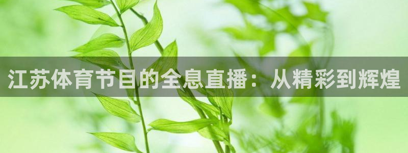 小松鼠直播平台：江苏体育节目的全息直播：从精彩到辉煌