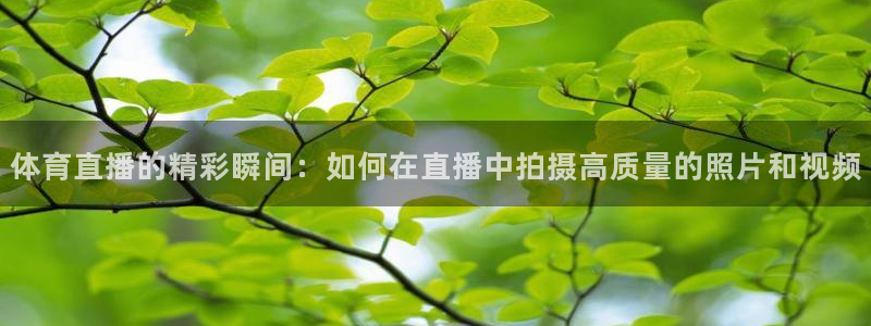 小松鼠直播app：体育直播的精彩瞬间：如何在直播中拍摄高质量的照片和视频